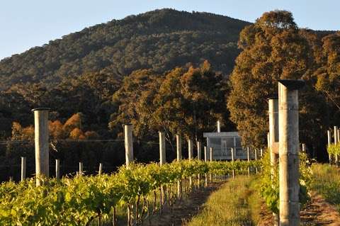 Photo: Mount Towrong Vineyard